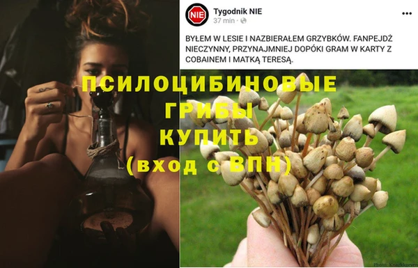 прущий лед Бронницы