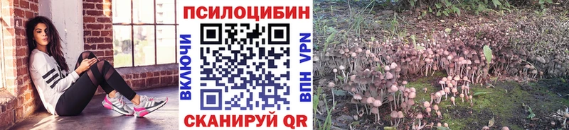 Псилоцибиновые грибы MAGIC MUSHROOMS  где можно купить наркотик  Духовщина 